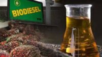 Biodiesel Biodiesel